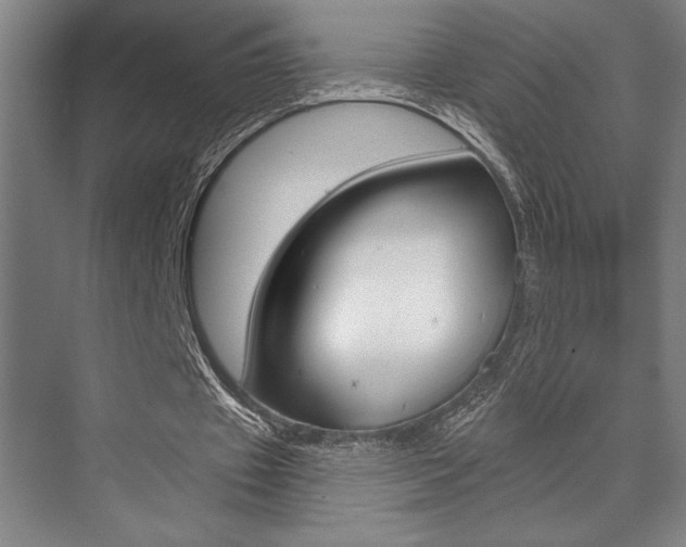 X0000073480433200607310855