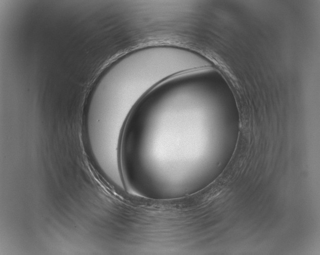 X0000073480434200607310855