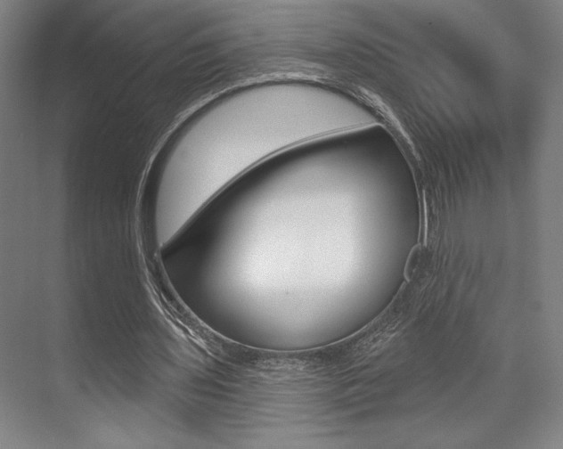 X0000073480435200607310855