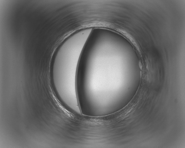 X0000073480437200607310855