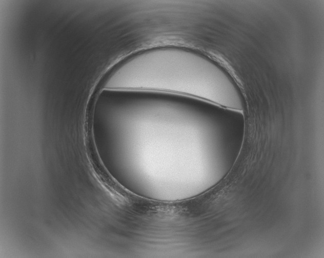 X0000073480439200607310855