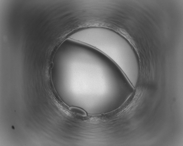 X0000073480441200607310855