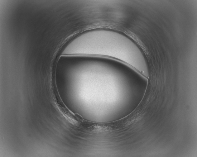X0000073480442200607310855