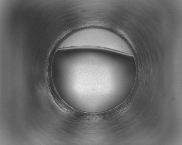 X0000073480443200607310855