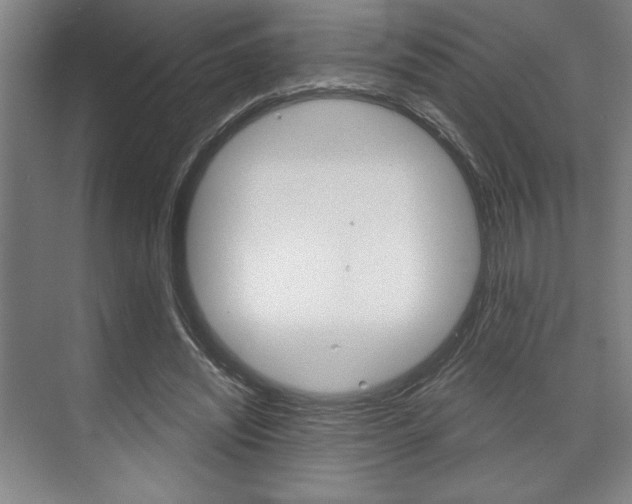 X0000073480444200607310855