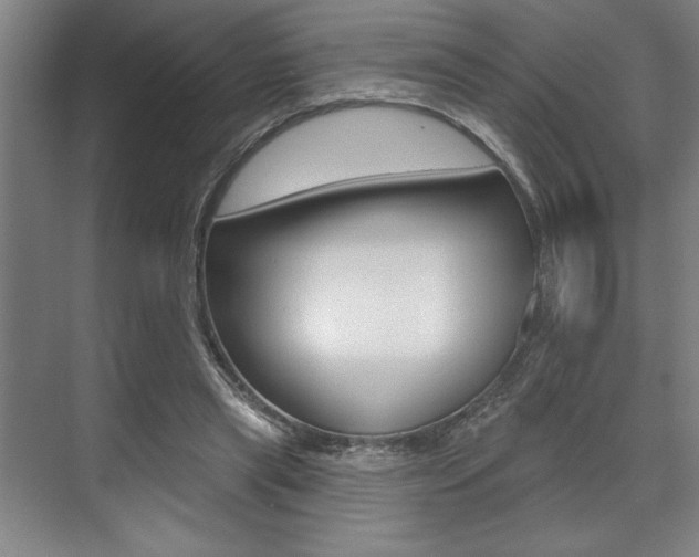X0000073480445200607310855