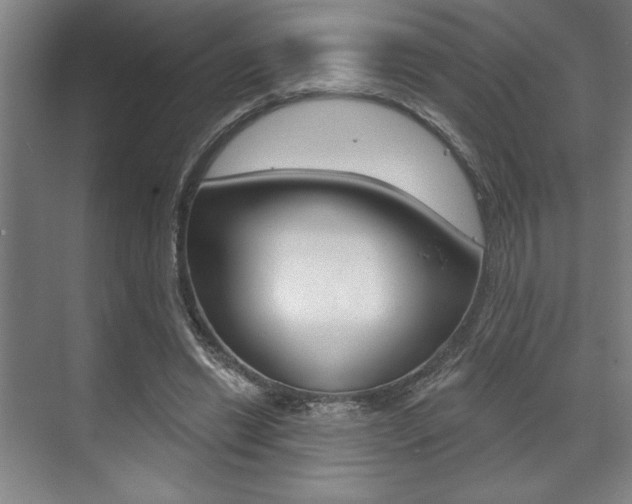 X0000073480446200607310855