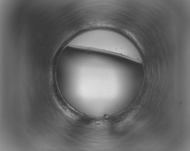 X0000073480447200607310855