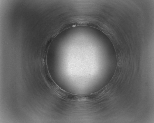 X0000073480456200607310855
