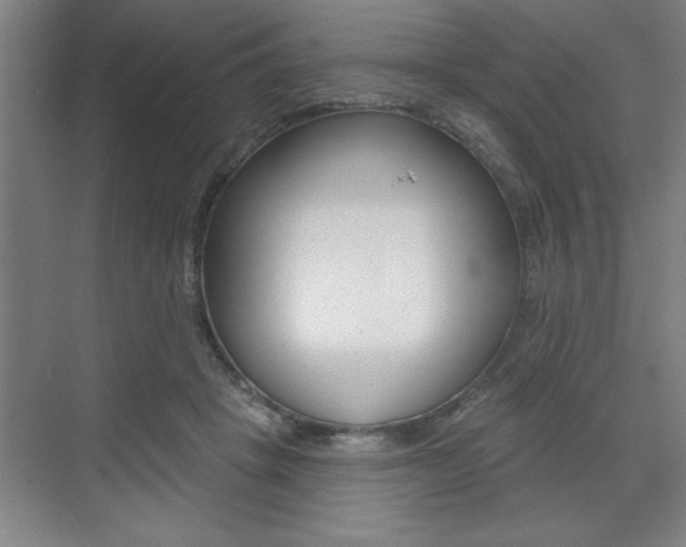X0000073480457200607310855