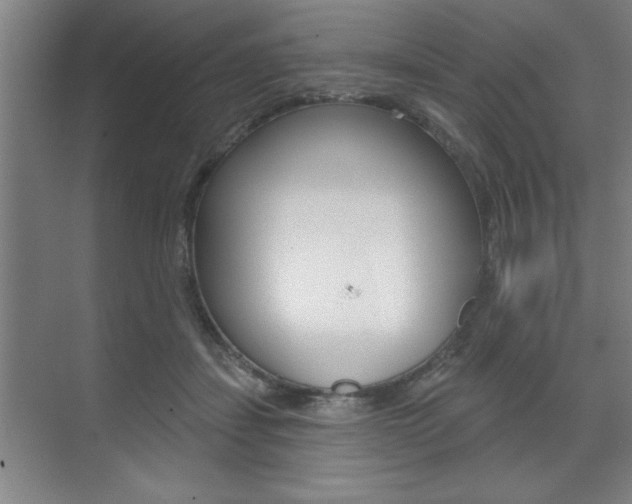 X0000073480459200607310855