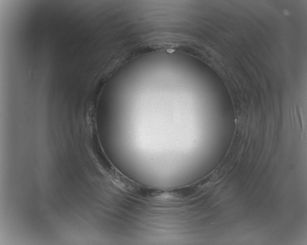 X0000073480460200607310855