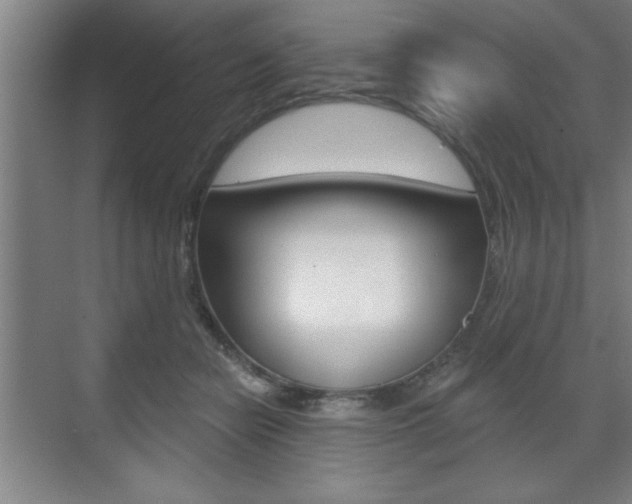 X0000073480462200607310855