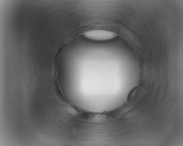 X0000073480463200607310855