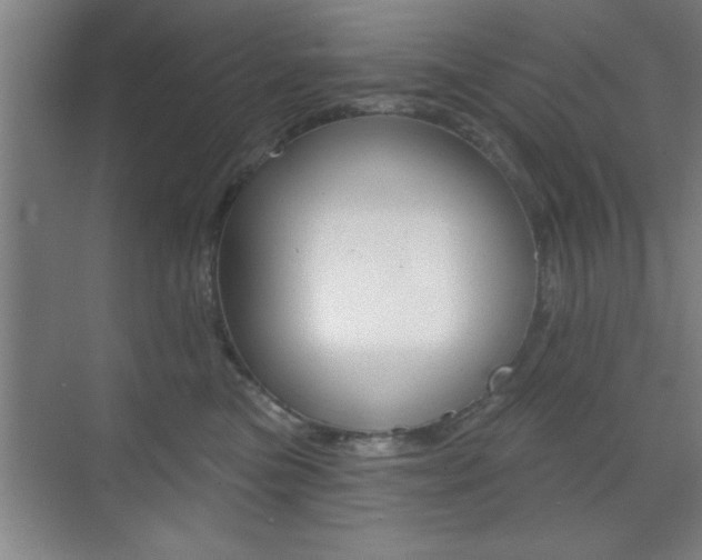 X0000073480473200607310856