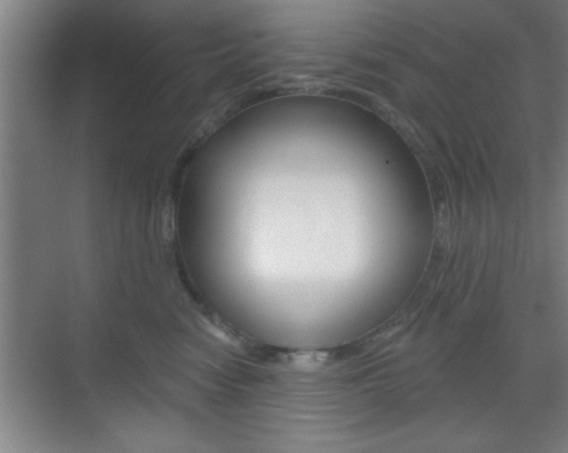 X0000073480474200607310856