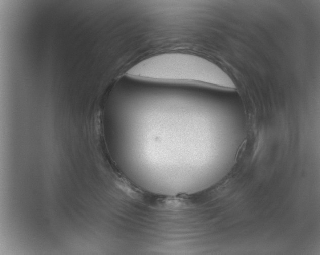 X0000073480475200607310856