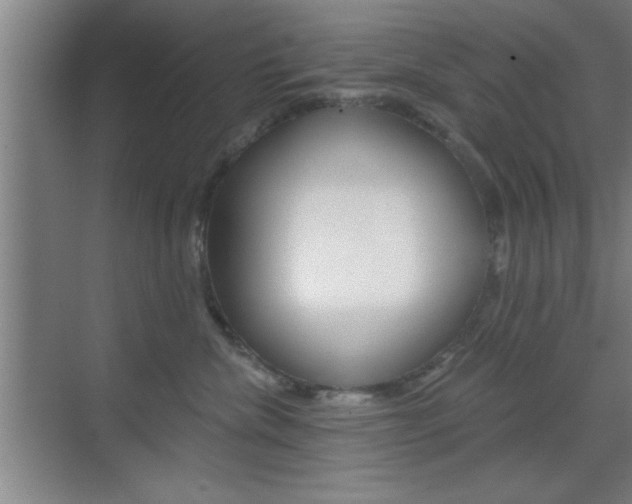 X0000073480476200607310856