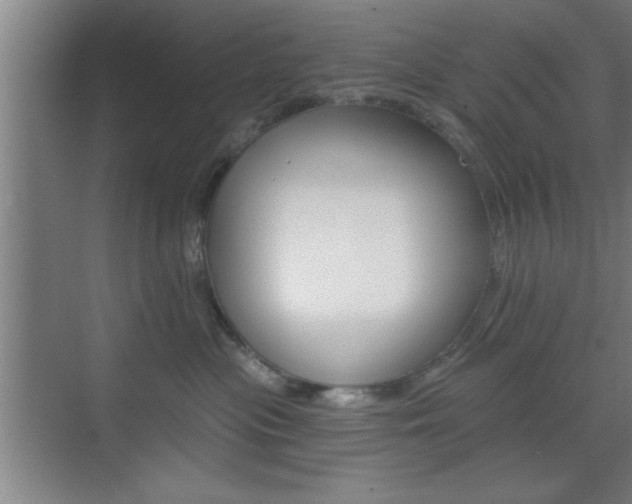 X0000073480477200607310856