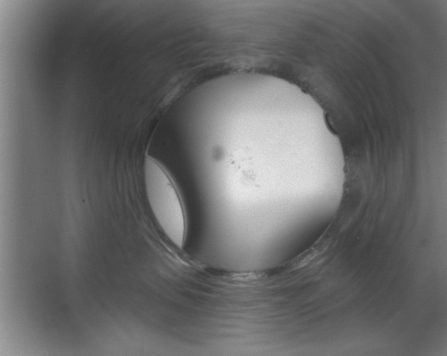 X0000073480479200607310856