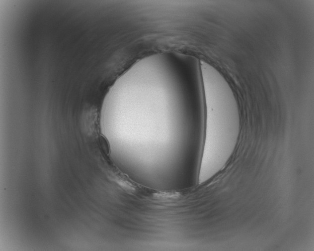 X0000073480480200607310856