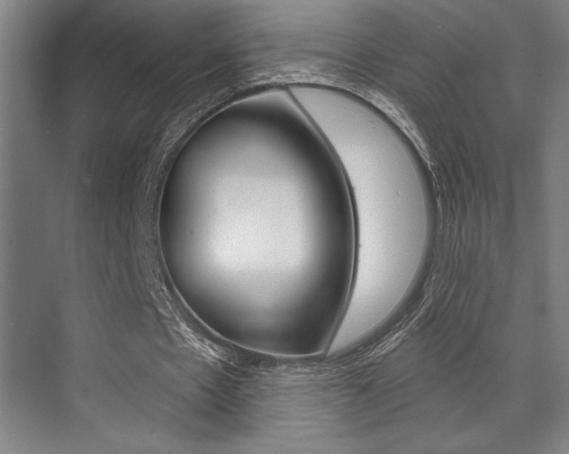 X0000073480481200607310855