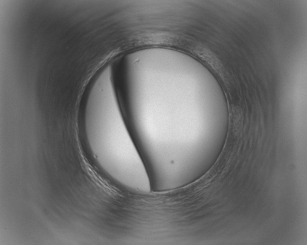 X0000073480482200607310855