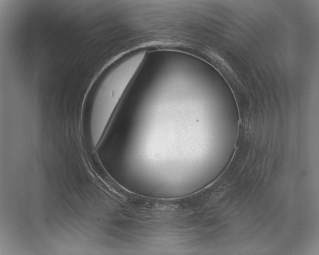 X0000073480484200607310855