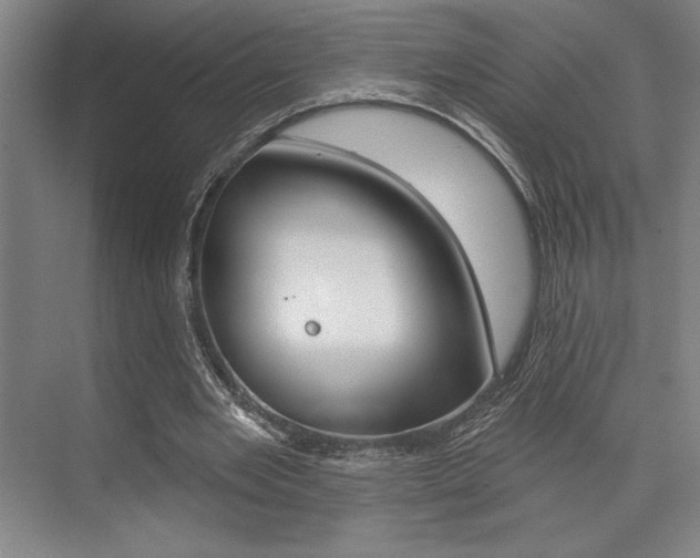 X0000073480485200607310855