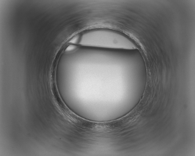 X0000073480487200607310855