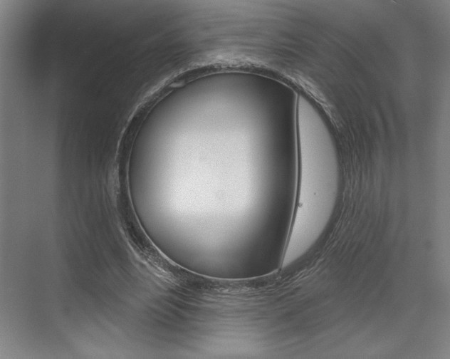 X0000073480488200607310855