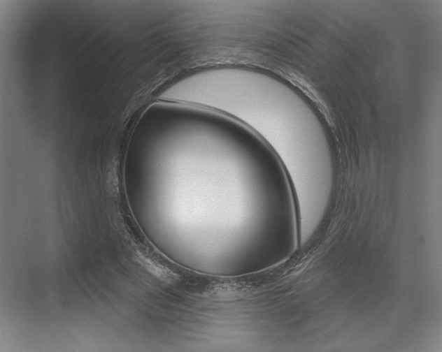 X0000073480489200607310855