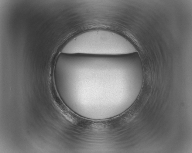 X0000073480490200607310855