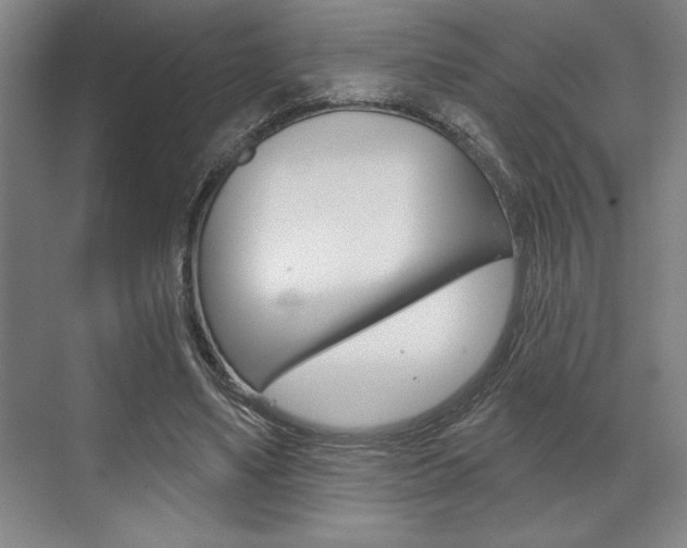 X0000073480491200607310855