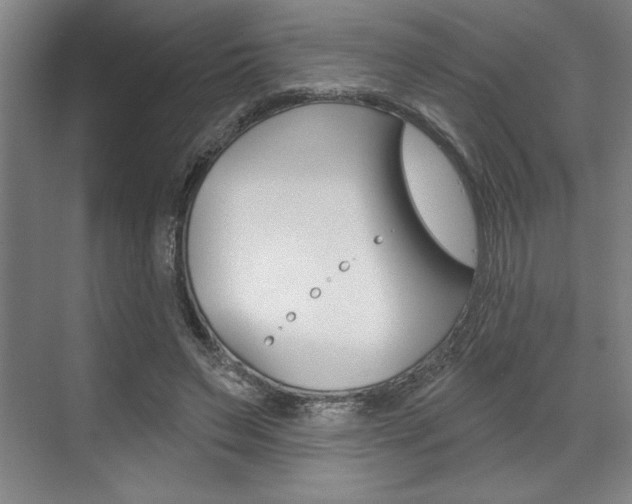 X0000073480495200607310855