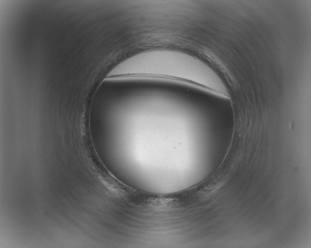 X0000073480497200607310855