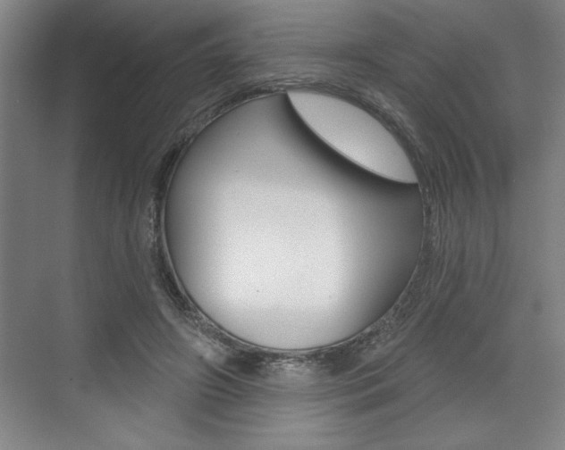 X0000073480498200607310855