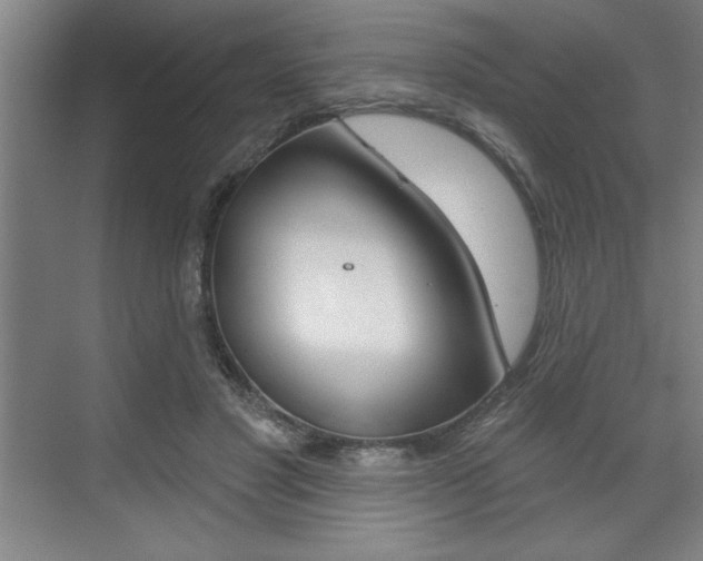 X0000073480501200607310854
