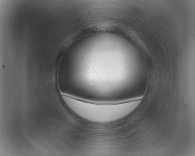 X0000073480505200607310854