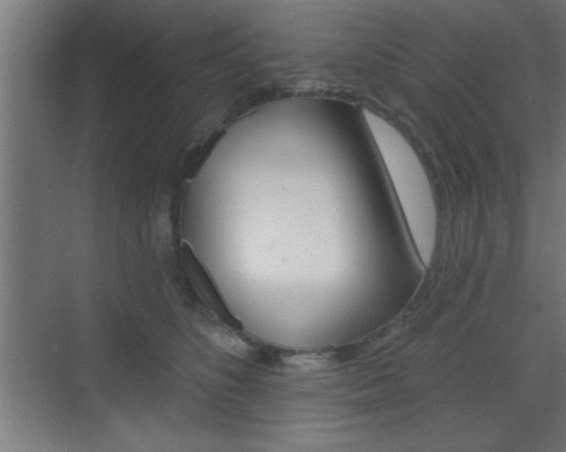 X0000073480516200607310854