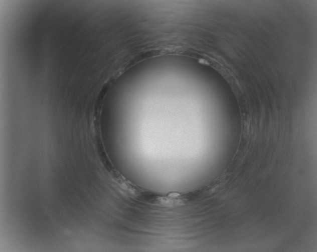 X0000073480520200607310854