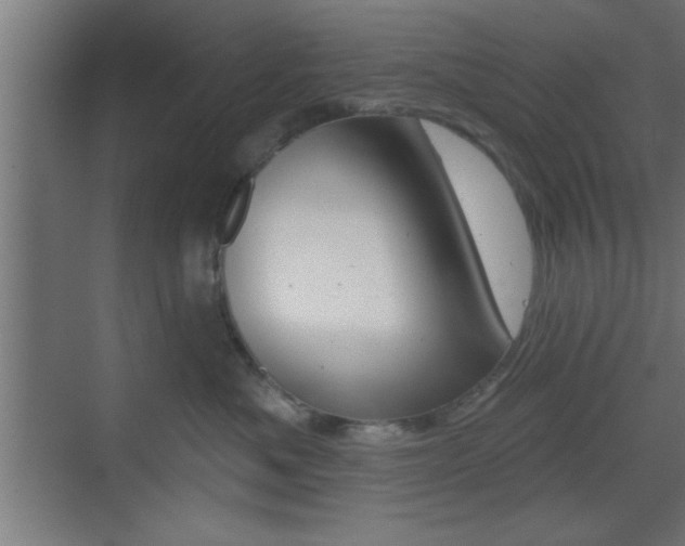 X0000073480525200607310854