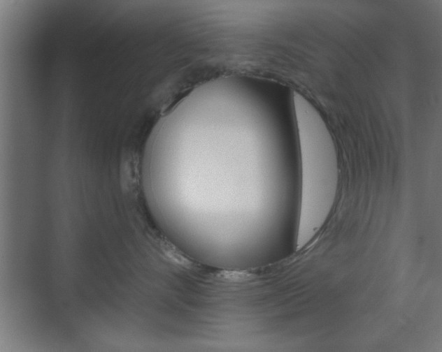 X0000073480528200607310854