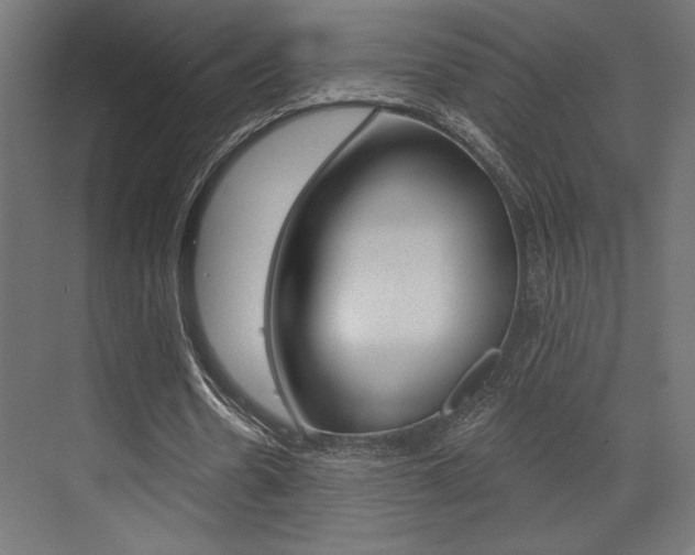 X0000073480530200607310853