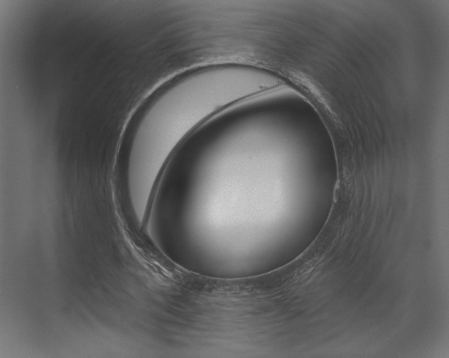 X0000073480532200607310853
