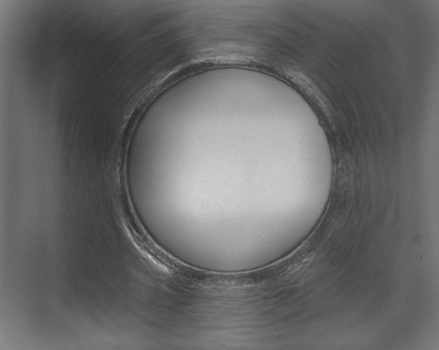 X0000073480533200607310853