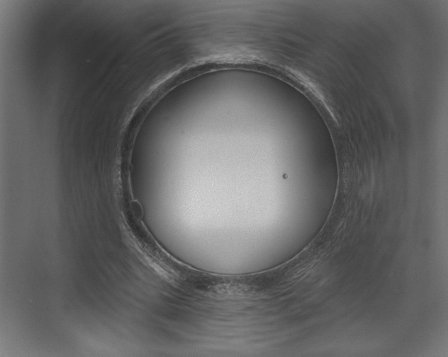 X0000073480535200607310853