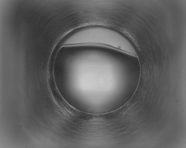 X0000073480536200607310853