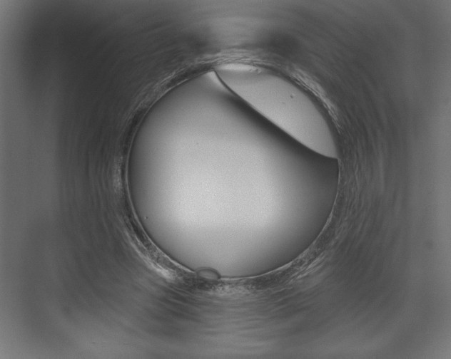 X0000073480537200607310853