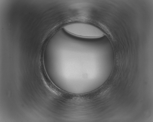 X0000073480538200607310853